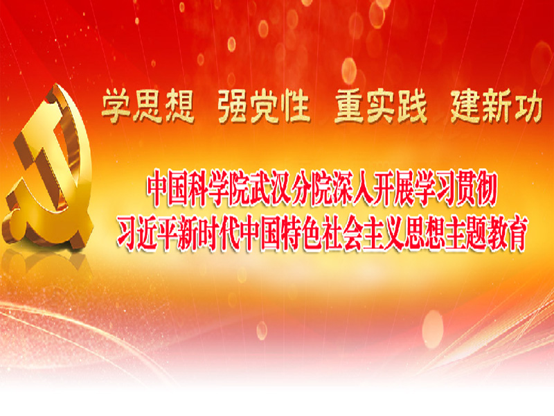 武汉分院深入开展学习贯彻习近平新时代中国特色社会主义思想主题教育